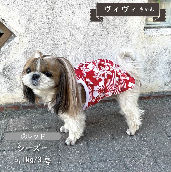 接触冷感&amp;濡らして冷たい<br>キャミソールクールワンピース　小型・胴長・ダックス - VERY-PET