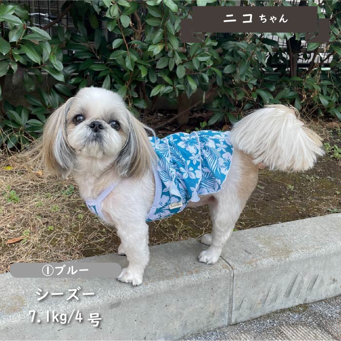 接触冷感&amp;濡らして冷たい<br>キャミソールクールワンピース　小型・胴長・ダックス - VERY-PET