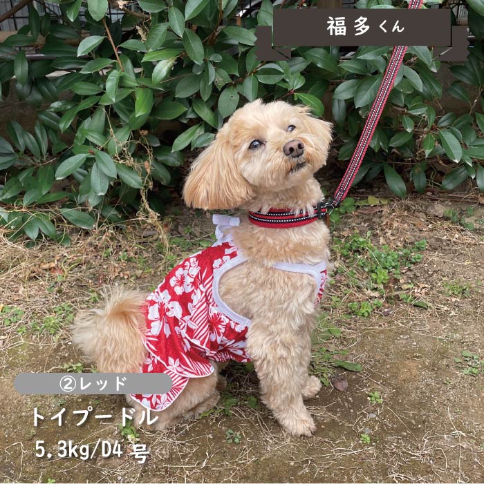 接触冷感&amp;濡らして冷たい<br>キャミソールクールワンピース　小型・胴長・ダックス - VERY-PET