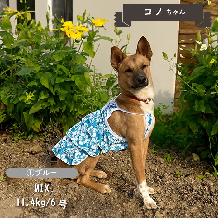 Web限定接触冷感&濡らして冷たい<br>キャミソールクールワンピース　中型犬・コーギー - VERY-PET