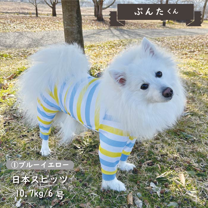 Web限定接触冷感&濡らして冷たい<br>クールボーダーカバーオール　中型犬 - VERY-PET