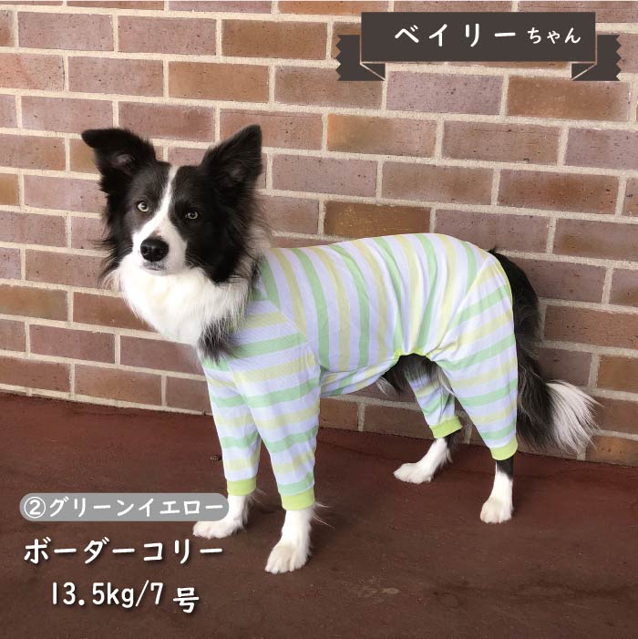 Web限定接触冷感&濡らして冷たい<br>クールボーダーカバーオール　中型犬 - VERY-PET