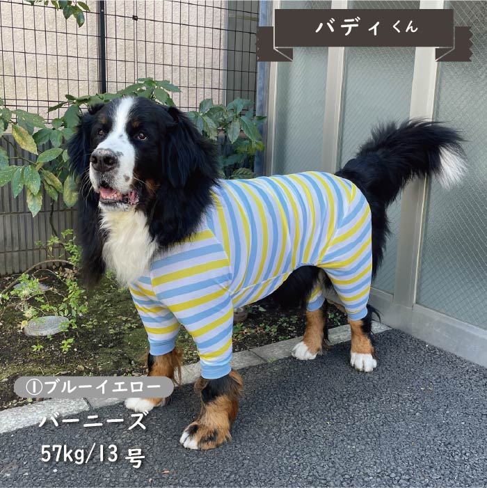 Web限定接触冷感&濡らして冷たい<br>クールボーダーカバーオール　 超大型犬 - VERY-PET