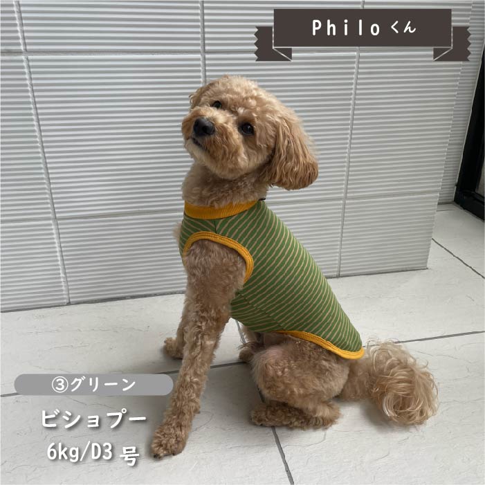 【2枚以上50％OFF】ストレッチボーダータンクトップ　小型・胴長・ダックス - VERY-PET