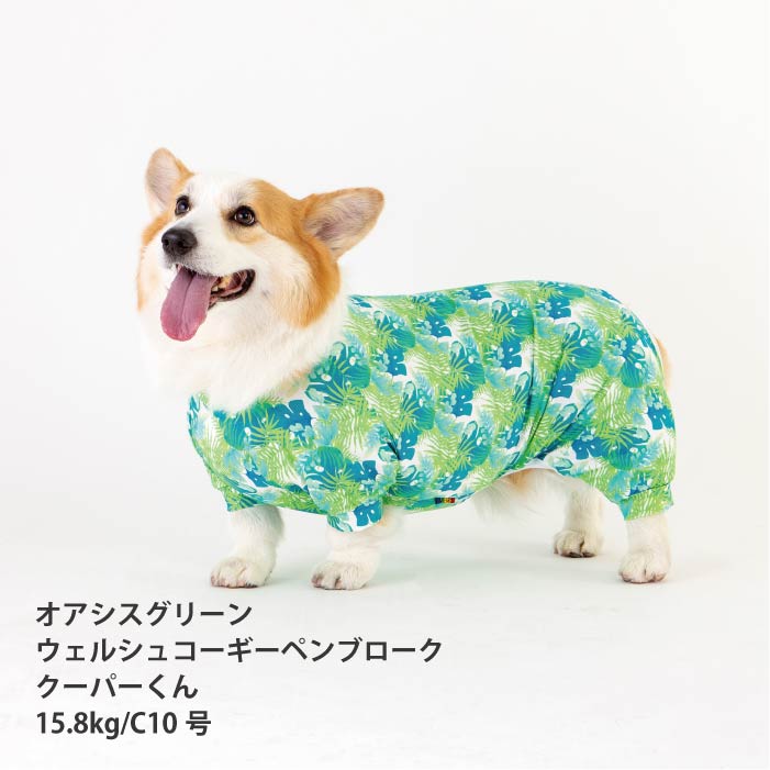 <font size="2">コーギー・バセット [全33size展開]</font><br>リラックスクールロンパース オアシスグリーン - VERY-PET
