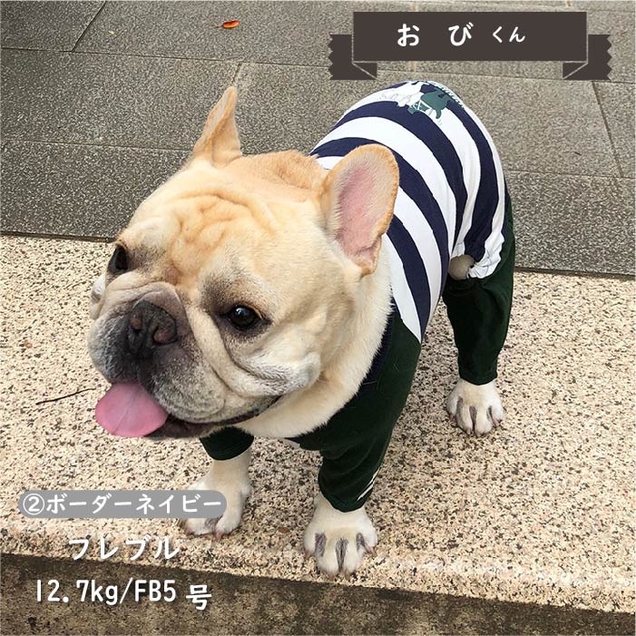 【盲導犬 サポート カバーオール】 小型犬 - VERY-PET