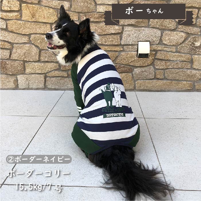 【盲導犬 サポート カバーオール】 中型犬 - VERY-PET