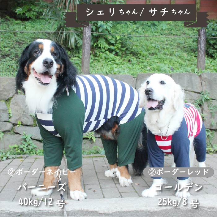 【盲導犬 サポート カバーオール】 大型犬 - VERY-PET