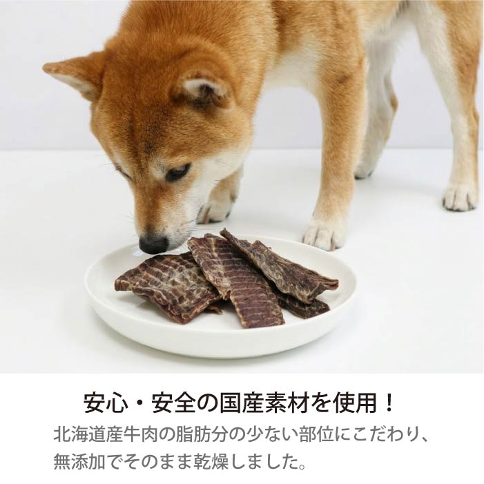 HOKKAIDO NATURAL SELECTION 無添加北海道産牛干し肉 50g/160g - VERY-PET