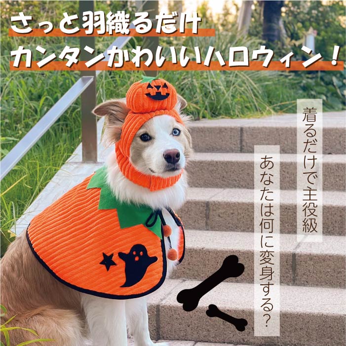 大型犬ハロウィンコスチューム 選べる4種類 - VERY-PET