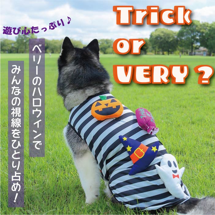 <font size="3">超大型犬</font> <br>ハロウィンコスチューム 選べる3種類 - VERY-PET