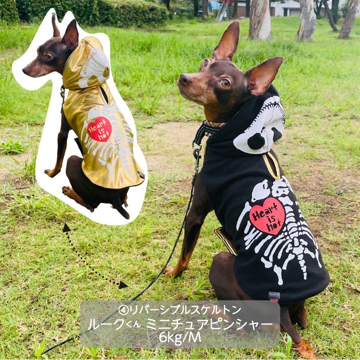 <font size="3">小型犬</font> <br>ハロウィンコスチューム 選べる5種類 - VERY-PET