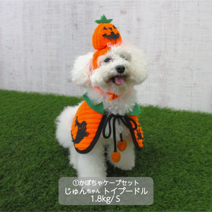 <font size="3">小型犬</font> <br>ハロウィンコスチューム 選べる5種類 - VERY-PET