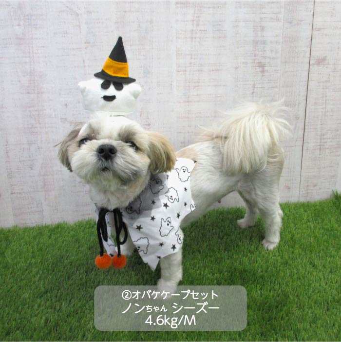 <font size="3">小型犬</font> <br>ハロウィンコスチューム 選べる5種類