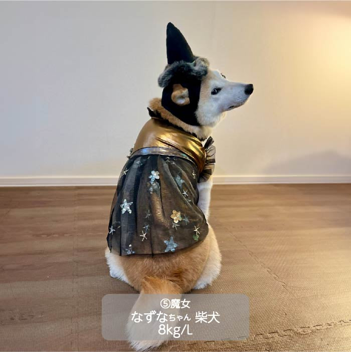 <font size="3">小型犬</font> <br>ハロウィンコスチューム 選べる5種類 - VERY-PET