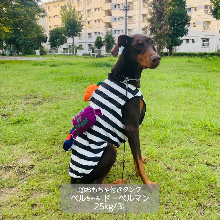 <font size="3">大型犬</font> <br>ハロウィンコスチューム 選べる4種類 - VERY-PET