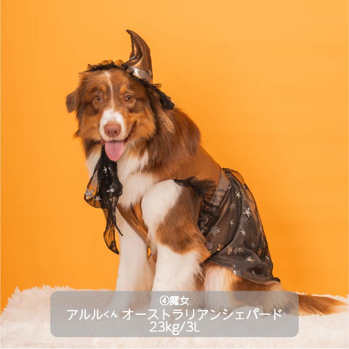 <font size="3">大型犬</font> <br>ハロウィンコスチューム 選べる4種類 - VERY-PET