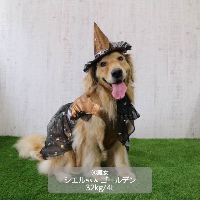 <font size="3">大型犬</font> <br>ハロウィンコスチューム 選べる4種類 - VERY-PET