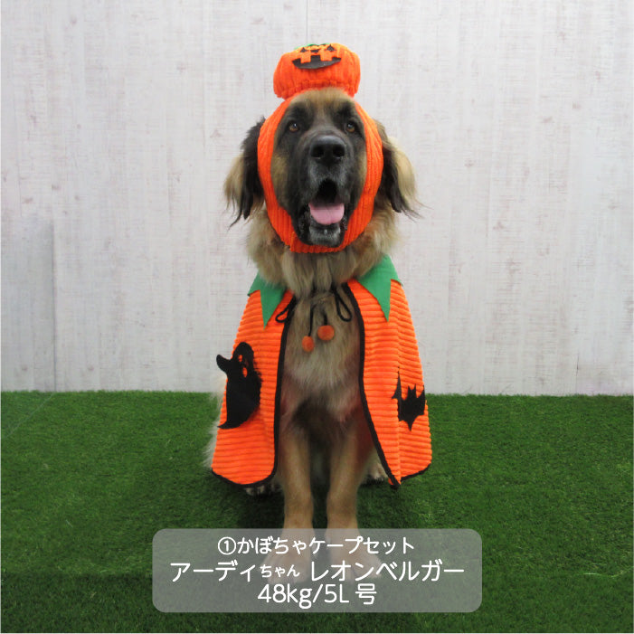 <font size="3">超大型犬</font> <br>ハロウィンコスチューム 選べる3種類 - VERY-PET