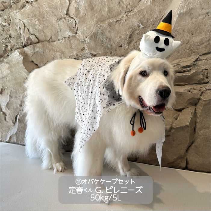 <font size="3">超大型犬</font> <br>ハロウィンコスチューム 選べる3種類 - VERY-PET