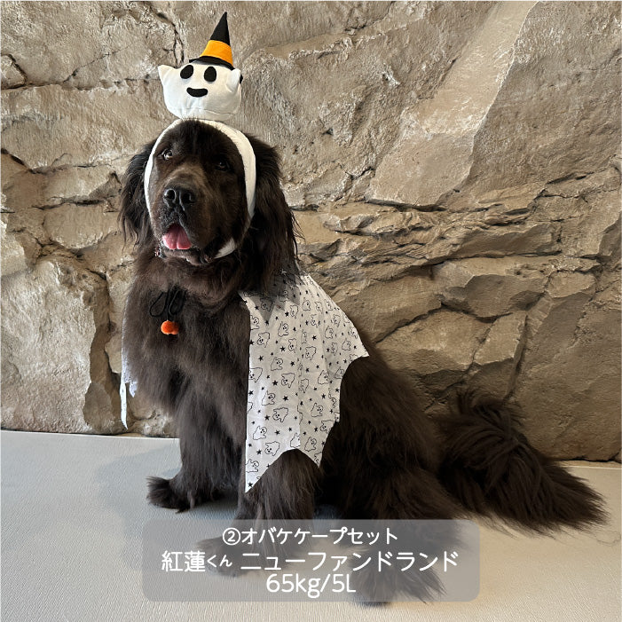 <font size="3">超大型犬</font> <br>ハロウィンコスチューム 選べる3種類 - VERY-PET