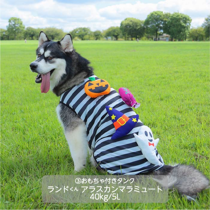 <font size="3">超大型犬</font> <br>ハロウィンコスチューム 選べる3種類 - VERY-PET