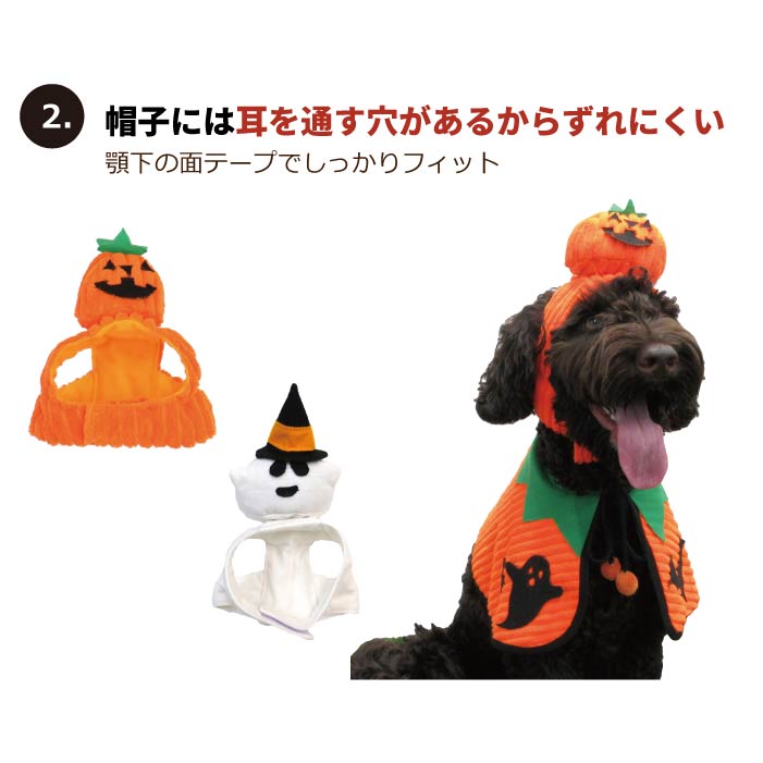 <font size="3">超大型犬</font> <br>ハロウィンコスチューム 選べる3種類