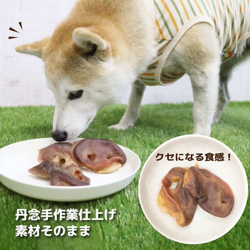 犬おやつ　国産豚鼻ハード 10個