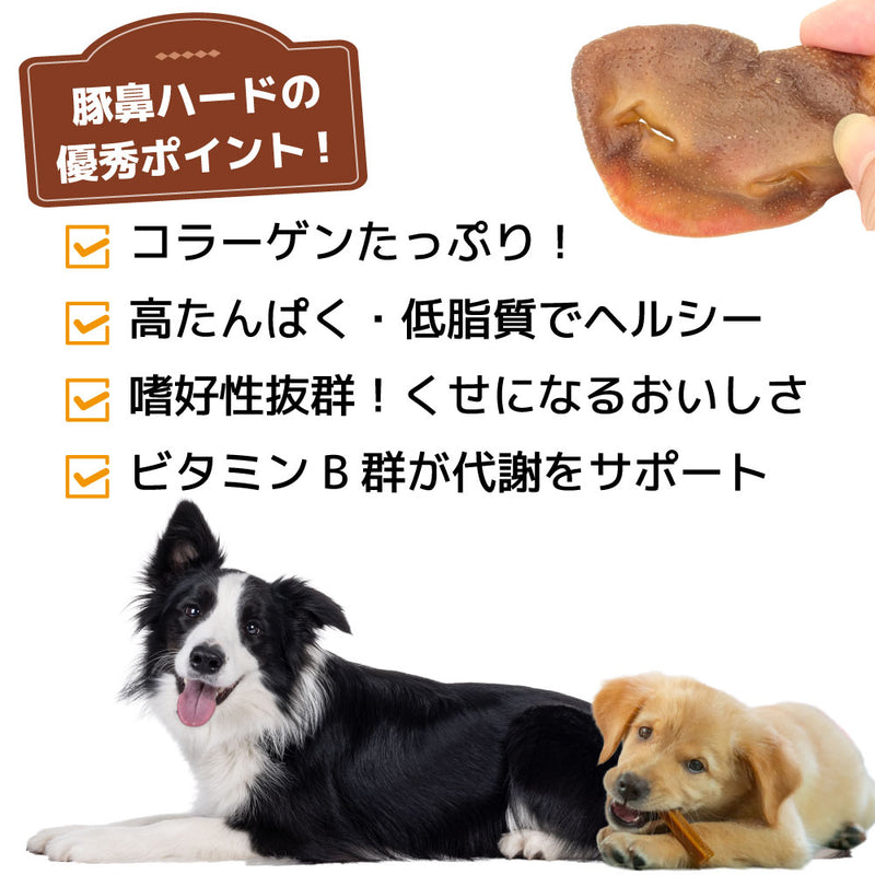 犬おやつ　国産豚鼻ハード 10個