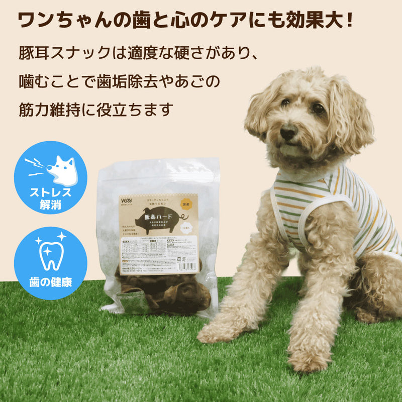 犬おやつ　国産豚鼻ハード 10個