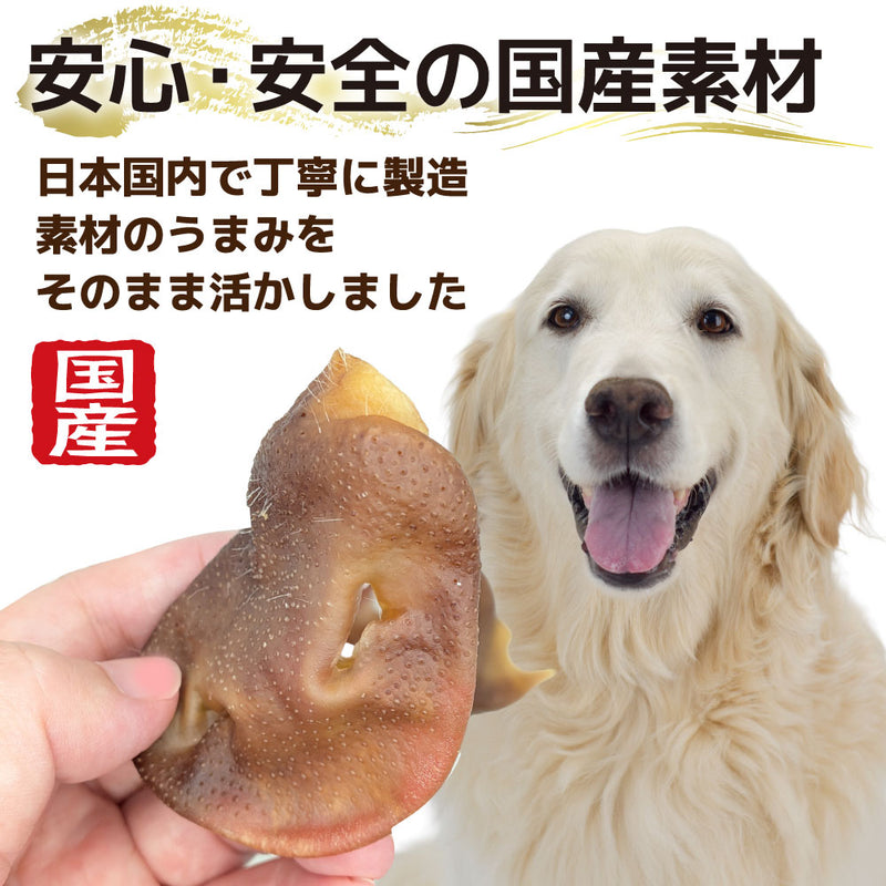 犬おやつ　国産豚鼻ハード 10個