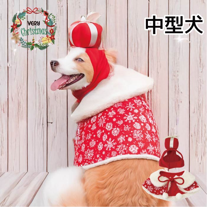 <font size="3">中型犬</font> <br>クリスマスコスチューム プレゼントセット