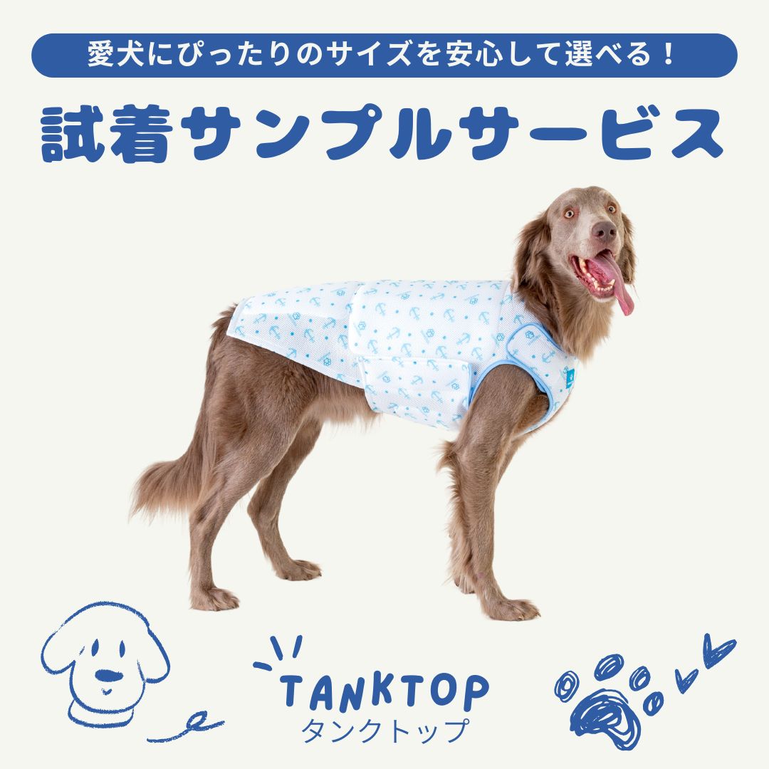 （洗濯前特価）Lieve Van Gorp　タンクトップ（試着のみ） 試着サンプル– VERY-PET