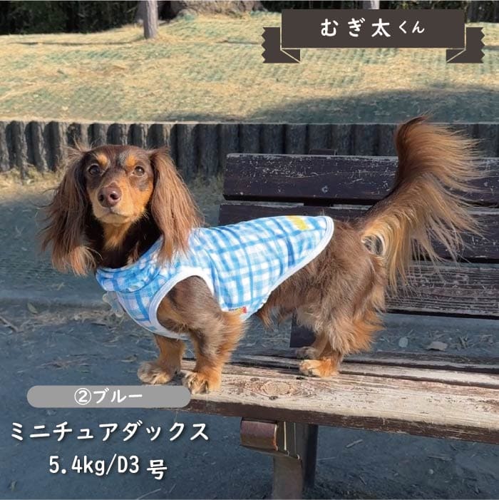 接触冷感 フード付き撥水クールタンクトップ 小型犬・胴長・ダックス - VERY-PET