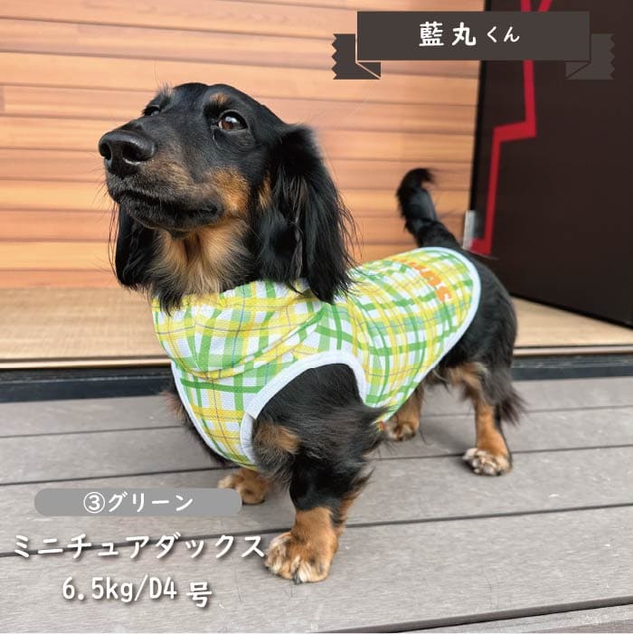 接触冷感 フード付き撥水クールタンクトップ 小型犬・胴長・ダックス - VERY-PET