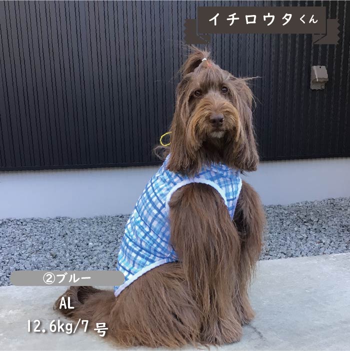 接触冷感 フード付き撥水クールタンクトップ 中型犬・コーギー - VERY-PET