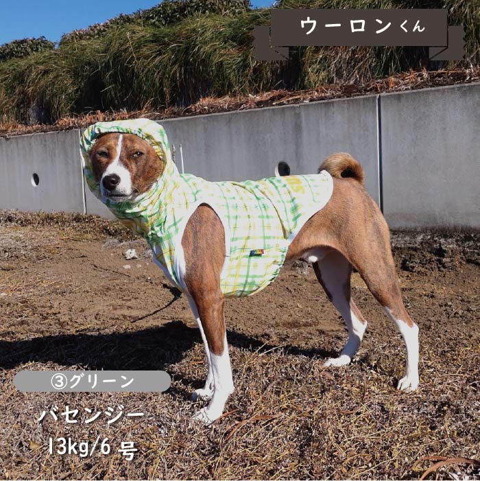 接触冷感 フード付き撥水クールタンクトップ 中型犬・コーギー - VERY-PET