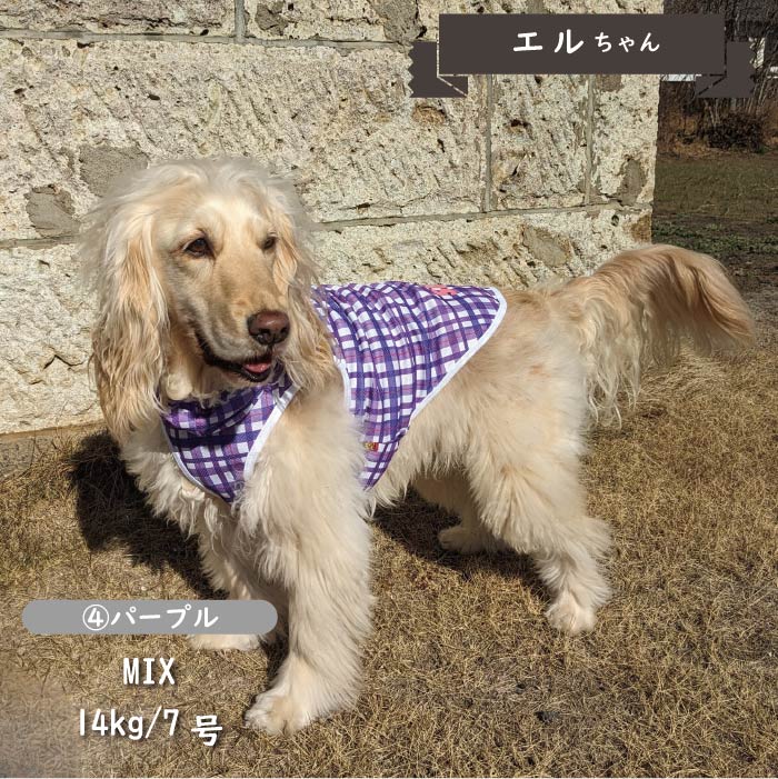 接触冷感 フード付き撥水クールタンクトップ 中型犬・コーギー - VERY-PET