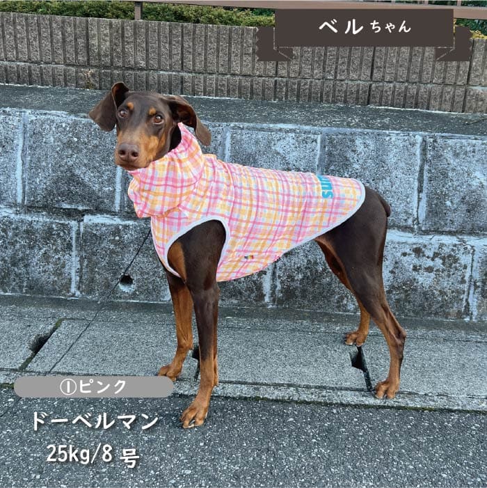 接触冷感 フード付き撥水クールタンクトップ 大型犬 - VERY-PET