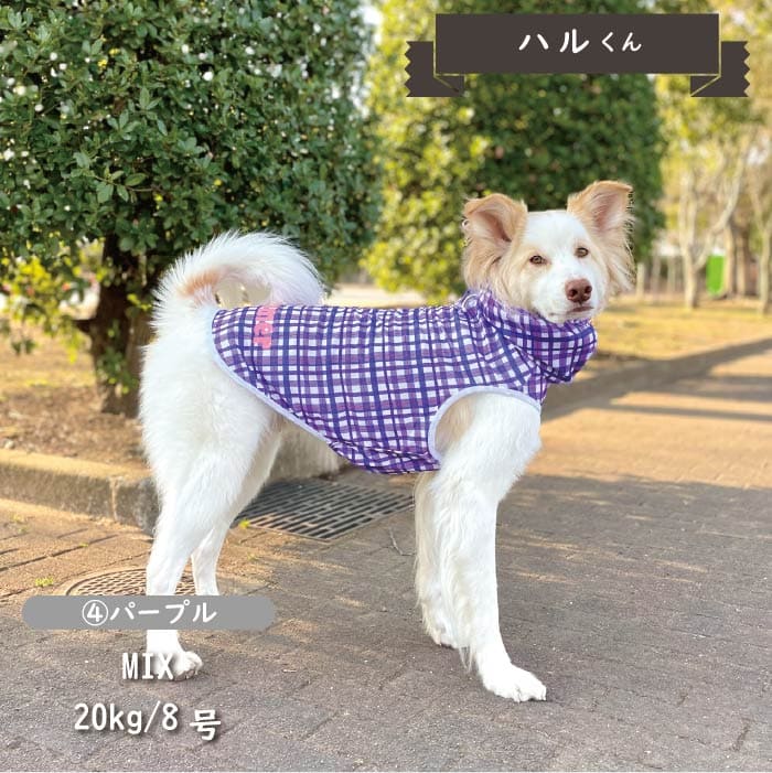 接触冷感 フード付き撥水クールタンクトップ 大型犬 - VERY-PET