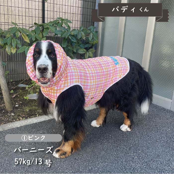 接触冷感 フード付き撥水クールタンクトップ 超大型犬 - VERY-PET