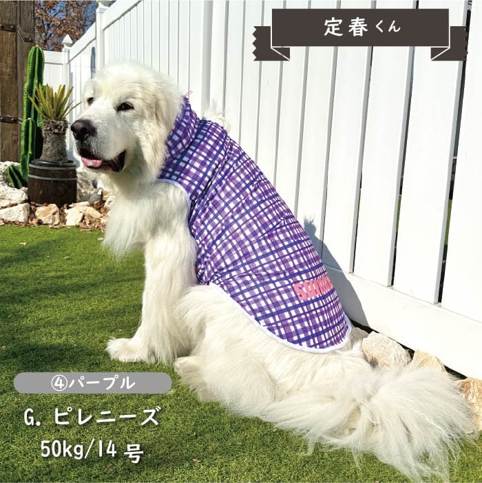 接触冷感 フード付き撥水クールタンクトップ 超大型犬 - VERY-PET