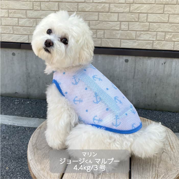 小型犬・胴長・ダックス 送料無料<br>やわらか保冷剤付きクールベスト WANCOOL 暑い夏に必須アイテム - VERY-PET