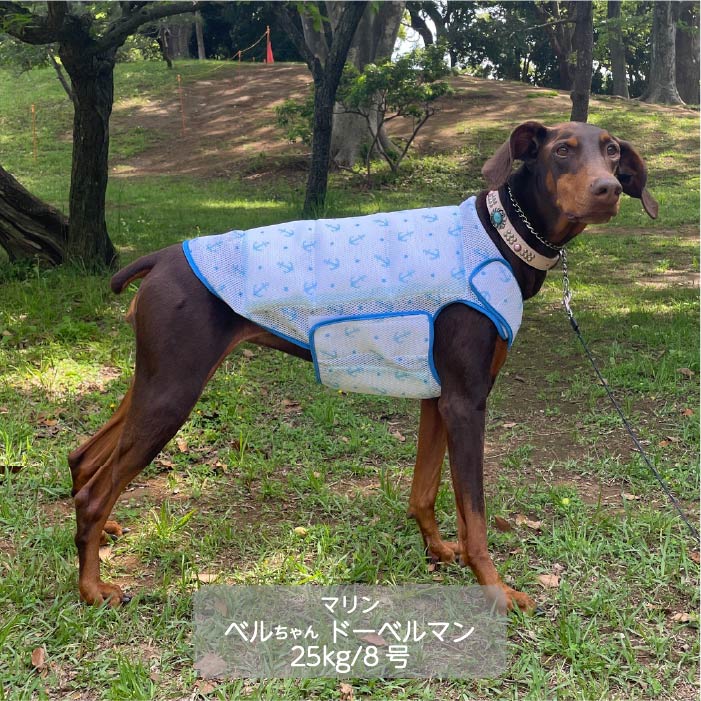 大型犬<br>やわらか保冷剤付きクールベスト WANCOOL 暑い夏に必須アイテム - VERY-PET