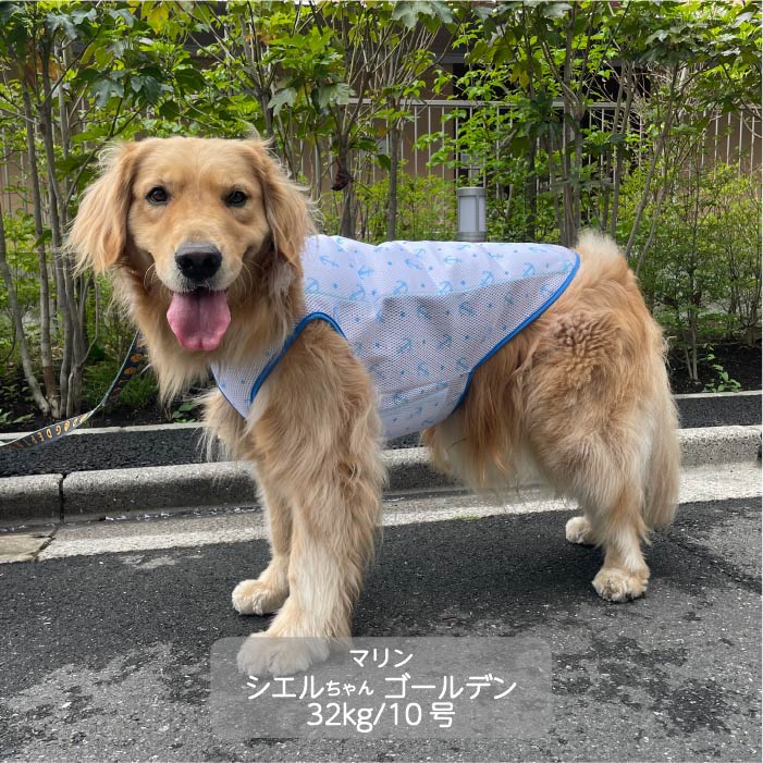 大型犬<br>やわらか保冷剤付きクールベスト WANCOOL 暑い夏に必須アイテム - VERY-PET