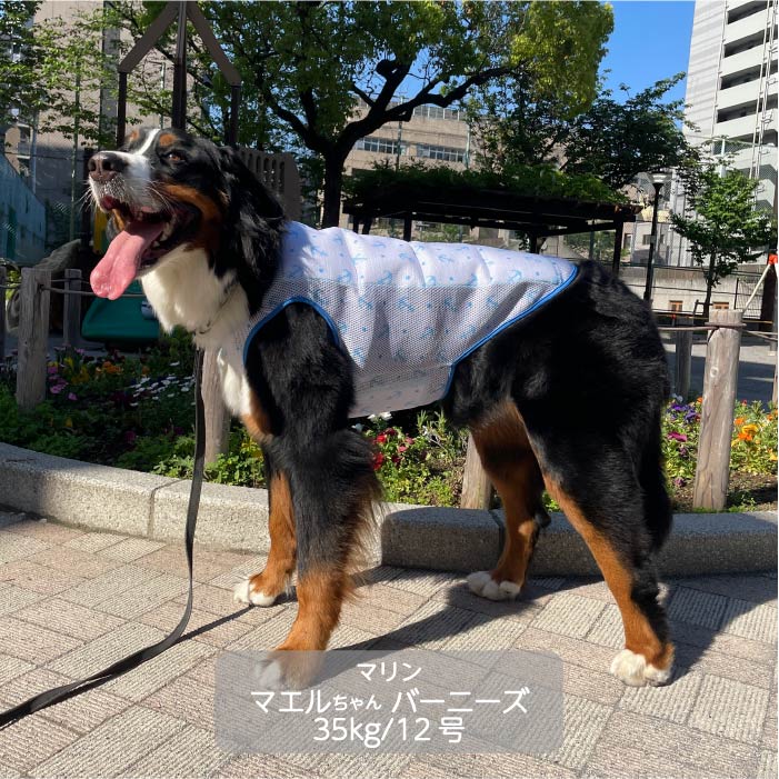 大型犬<br>やわらか保冷剤付きクールベスト WANCOOL 暑い夏に必須アイテム - VERY-PET