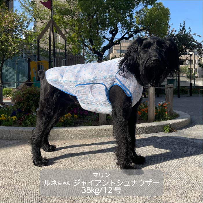 大型犬<br>やわらか保冷剤付きクールベスト WANCOOL 暑い夏に必須アイテム - VERY-PET