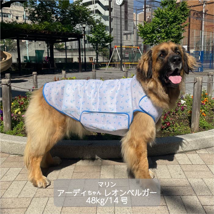 超大型犬<br>やわらか保冷剤付きクールベスト WANCOOL 暑い夏に必須アイテム - VERY-PET