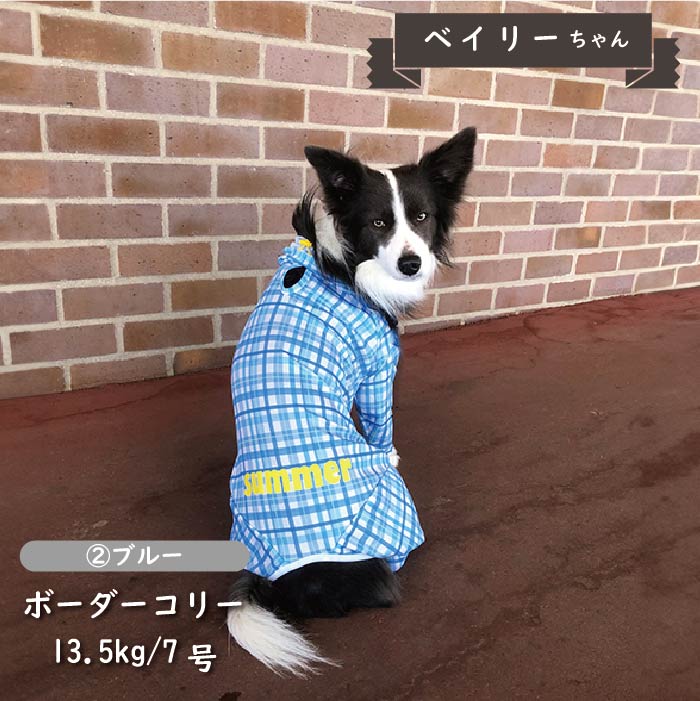 接触冷感 フード付き撥水クールカバーオール 中型犬 - VERY-PET