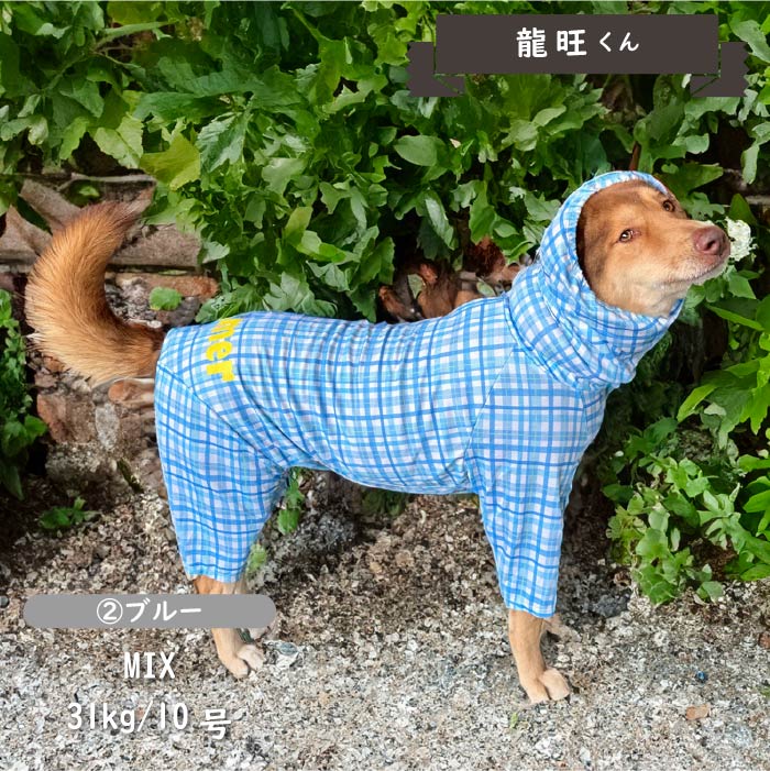 接触冷感 フード付き撥水クールカバーオール 大型犬 - VERY-PET